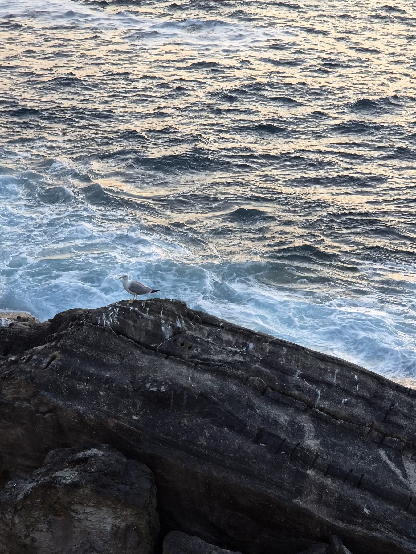 The sea doing its restless thing.