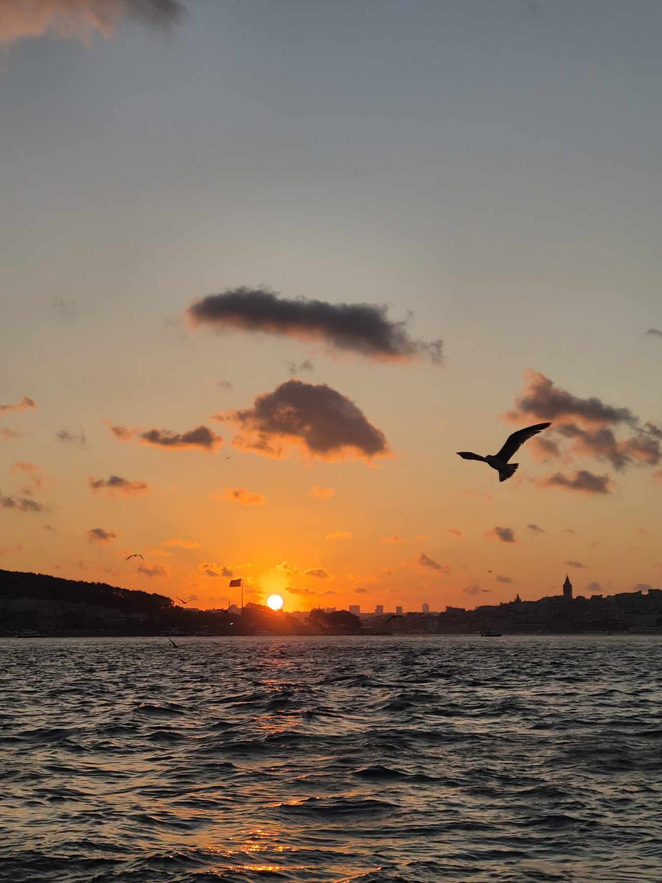 The Bosphorus emptying the day out.